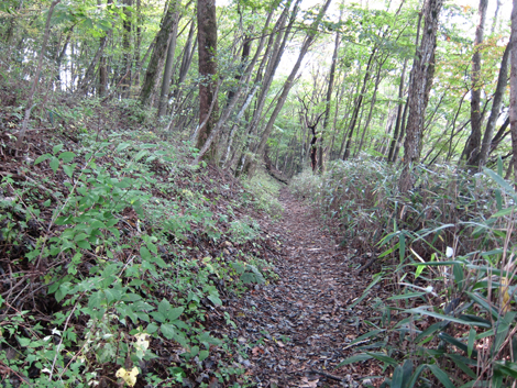 20191031hike (225)